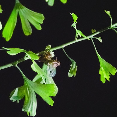 Starting point Front Cover