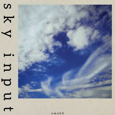 sky inputのジャケット写真