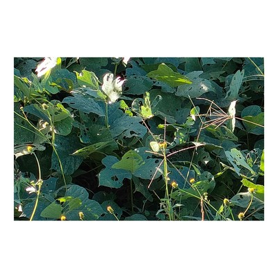 moment's thoughtのジャケット写真