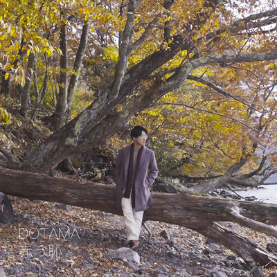 赤っ恥のジャケット写真