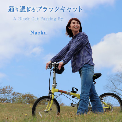 A Black Cat Passing By Front Cover