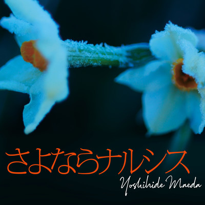 Goodbye Narcissus (feat. Satsuya Iwasawa & Makoto Matsushita) Front Cover
