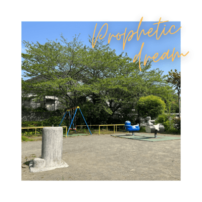 Prophetic dreamのジャケット写真