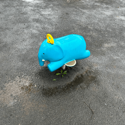 嵐のジャケット写真