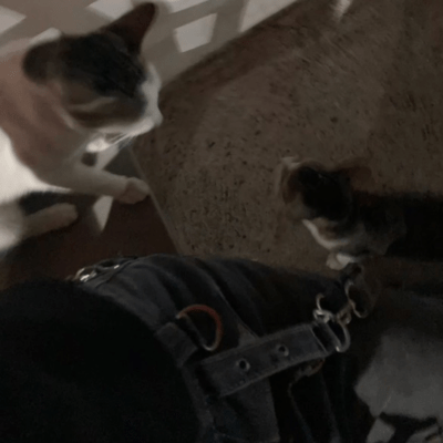 My tear (feat. N)のジャケット写真