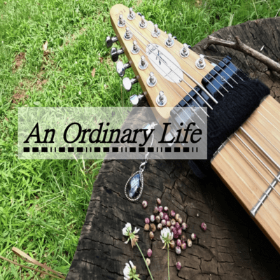 An Ordinary Life Front Cover