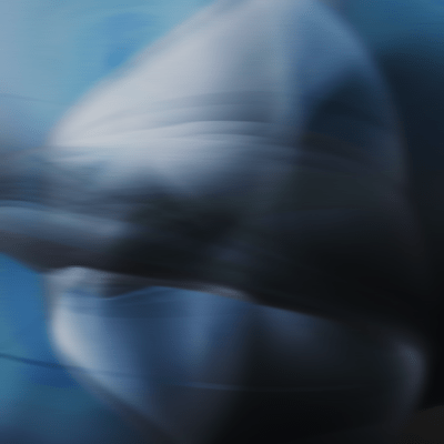 非可逆圧縮のジャケット写真