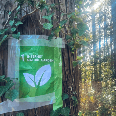 INGsのジャケット写真