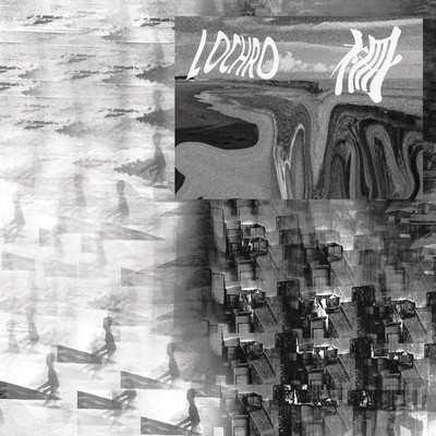 柵のジャケット写真