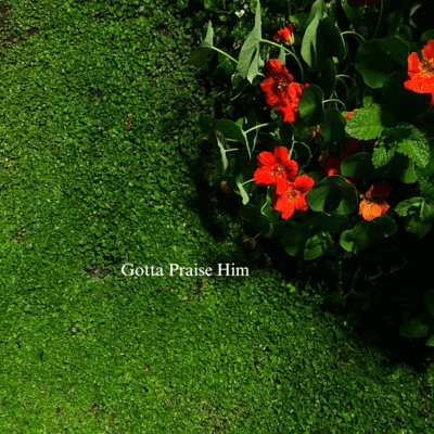 Gotta Praise Himのジャケット写真