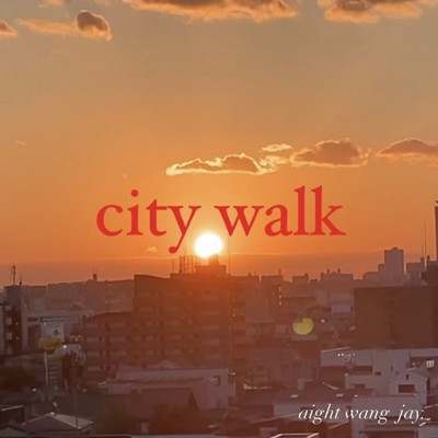 city walk Front Cover