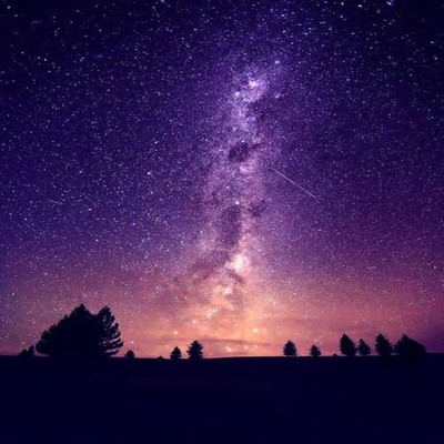 STARのジャケット写真