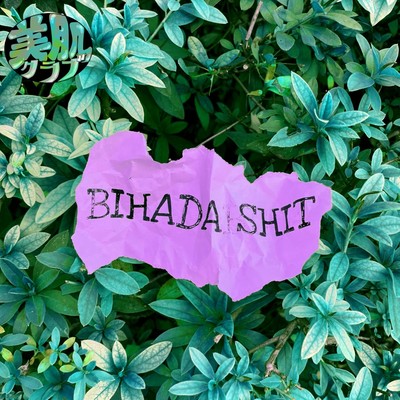 BIHADA SHIT Front Cover