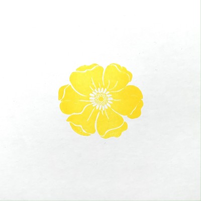 Hikari Front Cover