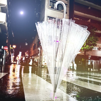 Ladyのジャケット写真