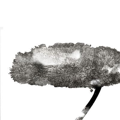 Omoidenopetoriko-ru Front Cover