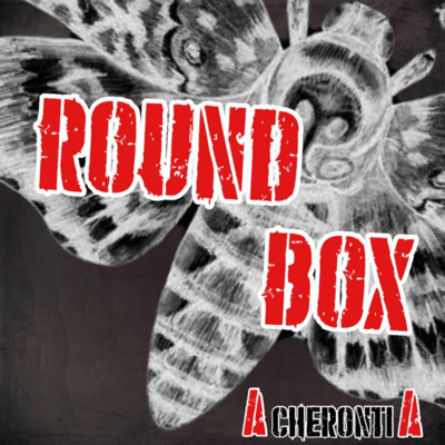 ROUND BOXのジャケット写真