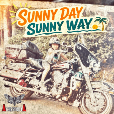 SUNNY DAY SUNNY WAY Front Cover
