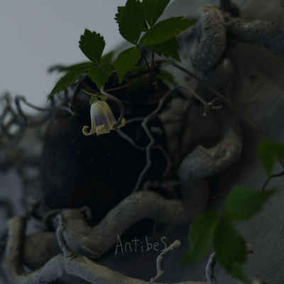 Antibes. Front Cover