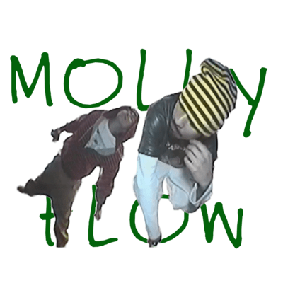 MOLLY FLOW (feat. Tim Pepperoni) Front Cover