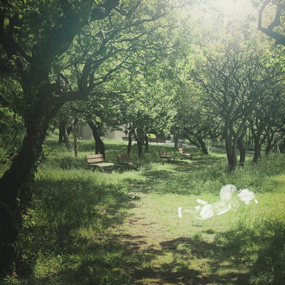 Time thief Front Cover