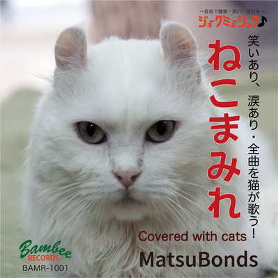 Covered with cats Front Cover