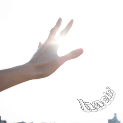 hachiのジャケット写真