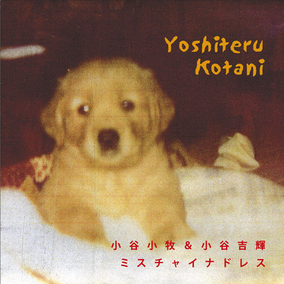 Ms.Chinadress sabi version Front Cover