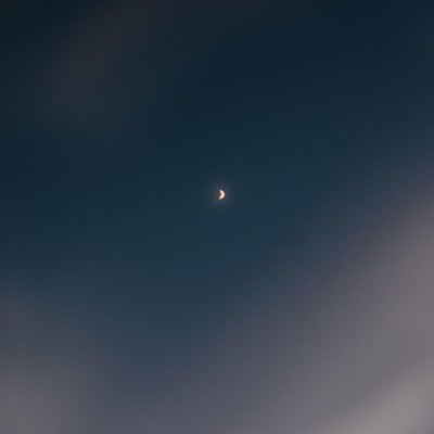 anemoneのジャケット写真