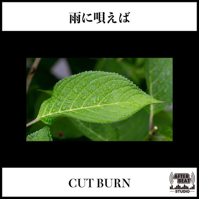 ameniutaeba Front Cover