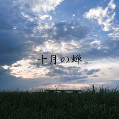 Cicada in October Front Cover