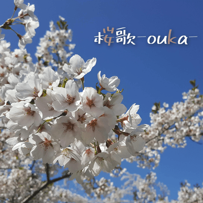 桜歌のジャケット写真