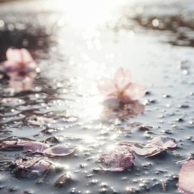 Wonderful World Front Cover