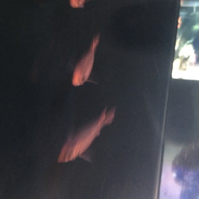 kissed youのジャケット写真