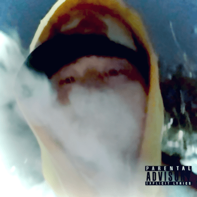 Our voice Front Cover