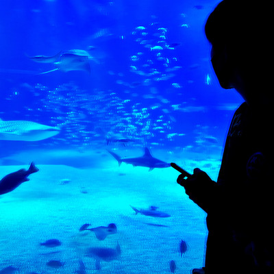 alone Front Cover