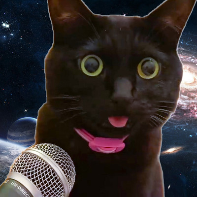 Space cat Front Cover