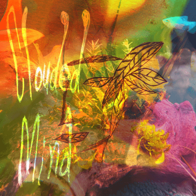 Clouded Mind Front Cover