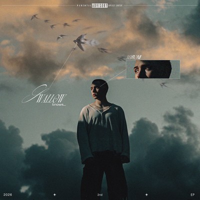 SWALLOW KNOWS... Front Cover