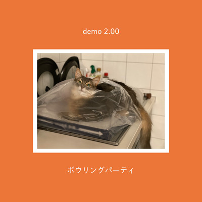 demo2.00のジャケット写真