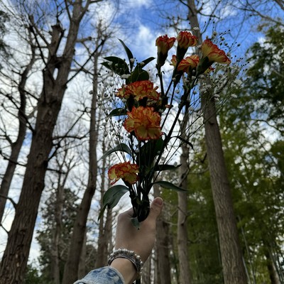 My own flower blooms Front Cover