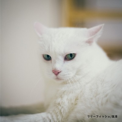 生活のジャケット写真