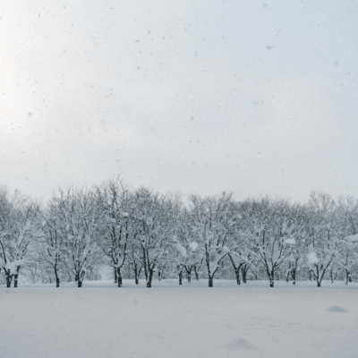 A song on a certain winter day (feat. Kyrie) Front Cover