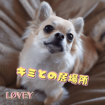 キミとの居場所のジャケット写真