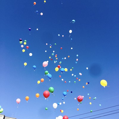 Blue Roseのジャケット写真