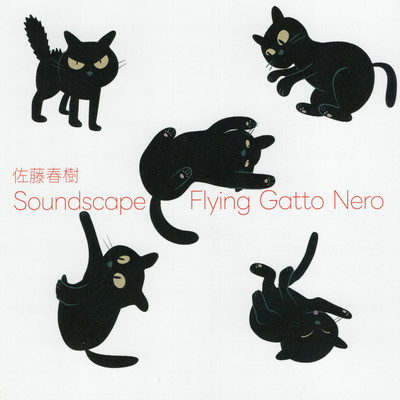 Flying Gatto Nero Front Cover