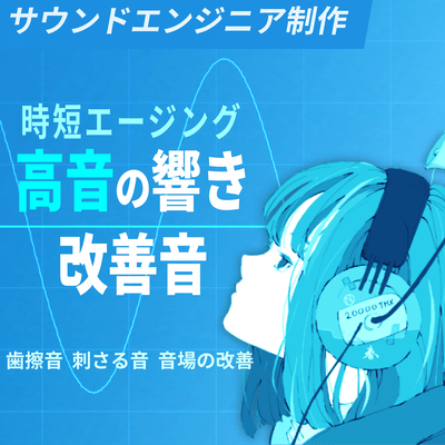 Time Reduction Burn-in track For treble sound Teeth grinding sound Stabbing sound Sound field improvement sound Front Cover