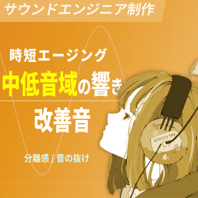 Pro Burn -in track - Improvement of Low-Mid Freq. Front Cover