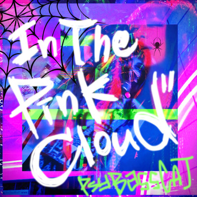 In The Pink Cloudのジャケット写真