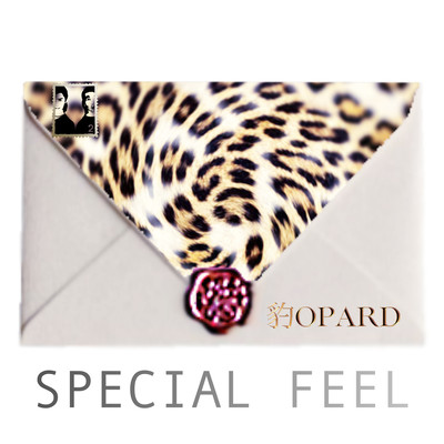 SPECIAL FEEL Front Cover